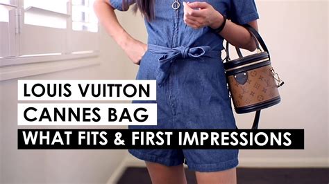 louis vuitton cannes bag replica|louis vuitton cannes bag review.